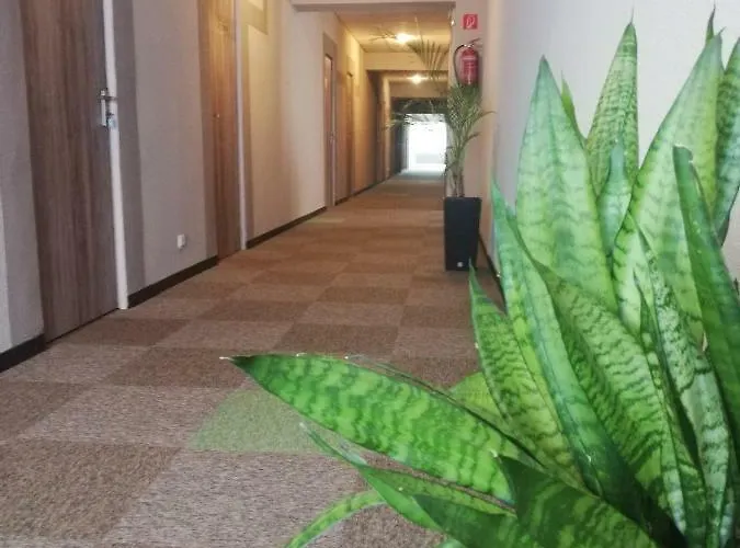 Sport Hotel 3*